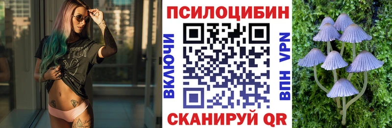 Галлюциногенные грибы мицелий  Омутнинск 