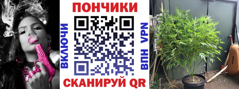 Конопля марихуана  KRAKEN ссылка  Омутнинск  где купить наркоту 